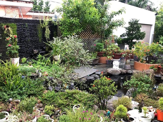 Bỏ phố về quê, mẹ đảm ở Bình Dương làm nhà vườn, trồng rau nuôi cá - 2 Bỏ phố về quê, mẹ đảm ở Bình Dương làm nhà vườn, trồng rau nuôi cá - 2