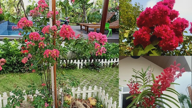 Bỏ phố về quê, mẹ đảm ở Bình Dương làm nhà vườn, trồng rau nuôi cá - 6 Bỏ phố về quê, mẹ đảm ở Bình Dương làm nhà vườn, trồng rau nuôi cá - 6