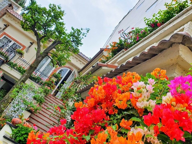 Nhà hoang ở Hà Nội biến hình ngoạn mục, gây “sốt” mạng xã hội - 4 Nhà hoang ở Hà Nội biến hình ngoạn mục, gây “sốt” mạng xã hội - 4