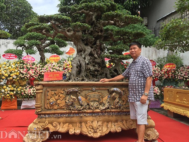Hoa mắt với báu vật sanh cổ Tiên lão giáng trần dáng chưa từng có giá ngang biệt thự - 1 Hoa mắt với báu vật sanh cổ Tiên lão giáng trần dáng chưa từng có giá ngang biệt thự - 1