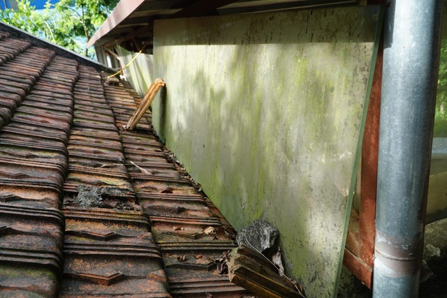 Xưởng chế biến gỗ gây ô nhiễm ngày đêm tra tấn người dân tại Phú Thọ - 8 Xưởng chế biến gỗ gây ô nhiễm ngày đêm tra tấn người dân tại Phú Thọ - 8