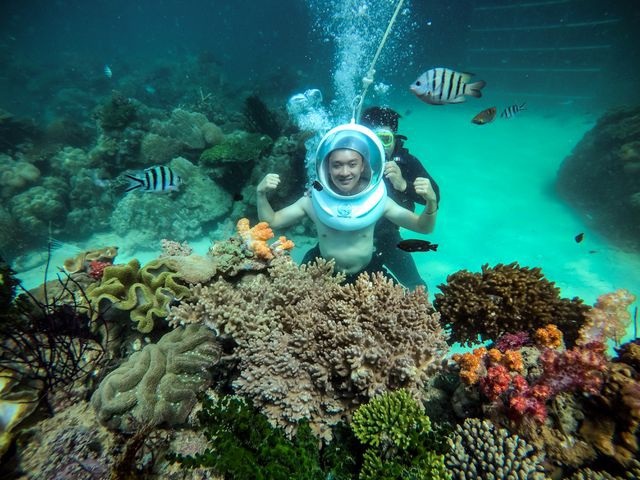 Đi bộ dưới biển, ngắm rặng san hô rực rỡ sắc màu tại Phú Quốc - 5