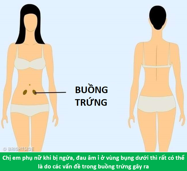 “Bắt bệnh” ẩn bên trong cơ thể nhờ vào vị trí cơn đau - 8