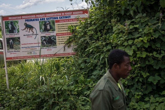 Tranh cãi dự án khai thác bô-xít của Trung Quốc trong rừng Ghana