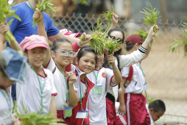 Lựa chọn của phụ huynh quyết định hướng phát triển của thị trường giáo dục - 3 Lựa chọn của phụ huynh quyết định hướng phát triển của thị trường giáo dục - 3