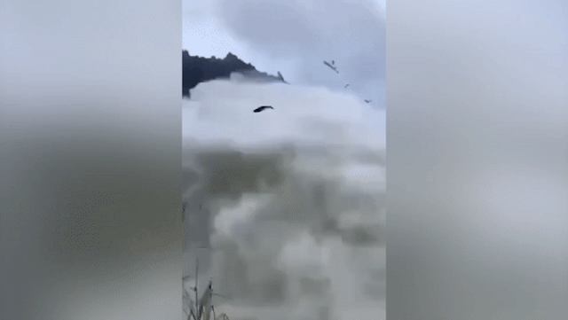 Cá bay đầy trời khi đập thủy điện Trung Quốc xả nước - 1