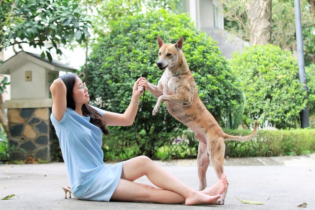 Khuyển vương 300 triệu đồng, thương vụ chó Phú Quốc đắt nhất Việt Nam - 2 Khuyển vương 300 triệu đồng, thương vụ chó Phú Quốc đắt nhất Việt Nam - 2