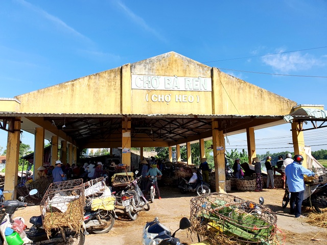 Ở Quảng Nam có nghề đặc biệt: Phụ nữ “bồng heo” - 1 Ở Quảng Nam có nghề đặc biệt: Phụ nữ “bồng heo” - 1