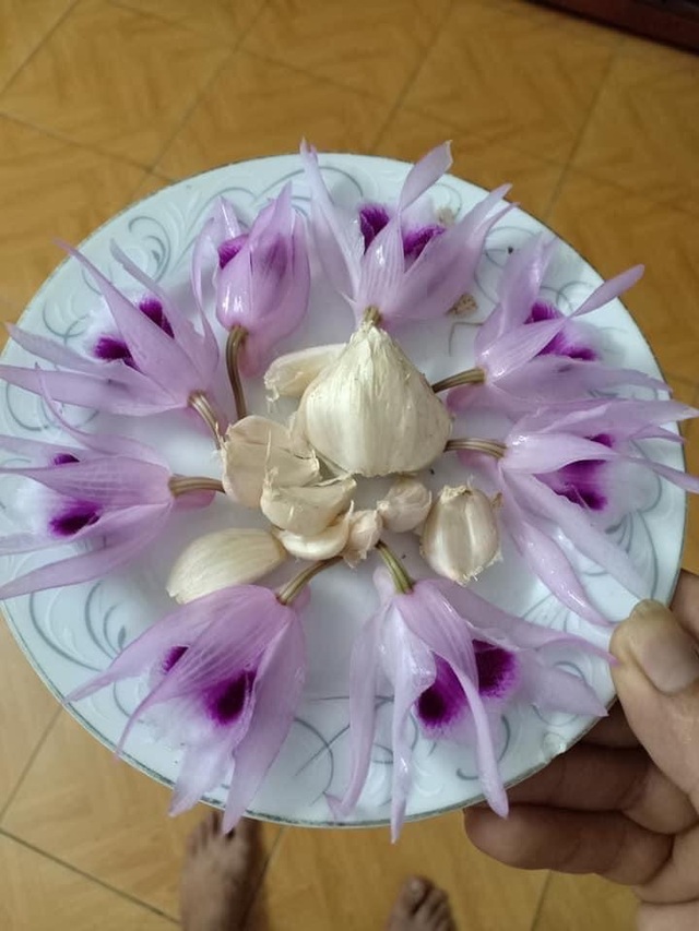 Cười bò khi dân mạng đua nhau chế ảnh giao dịch lan đột biến tiền tỷ - 8 Cười bò khi dân mạng đua nhau chế ảnh giao dịch lan đột biến tiền tỷ - 8