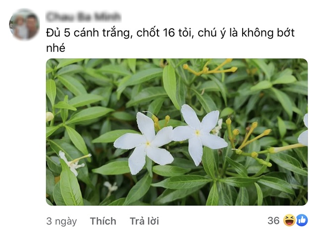 Cười bò khi dân mạng đua nhau chế ảnh giao dịch lan đột biến tiền tỷ - 4 Cười bò khi dân mạng đua nhau chế ảnh giao dịch lan đột biến tiền tỷ - 4
