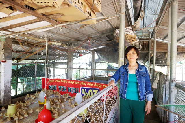 Gặp người phụ nữ vượt khó, tặng 20 con giống gà, vịt cho phụ nữ dịp 20/10 - 1 Gặp người phụ nữ vượt khó, tặng 20 con giống gà, vịt cho phụ nữ dịp 20/10 - 1