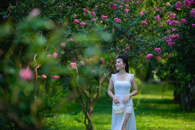 Phát “sốt” với những con đường hoa đẹp như trời Tây ngay gần Hà Nội - 14 Phát “sốt” với những con đường hoa đẹp như trời Tây ngay gần Hà Nội - 14