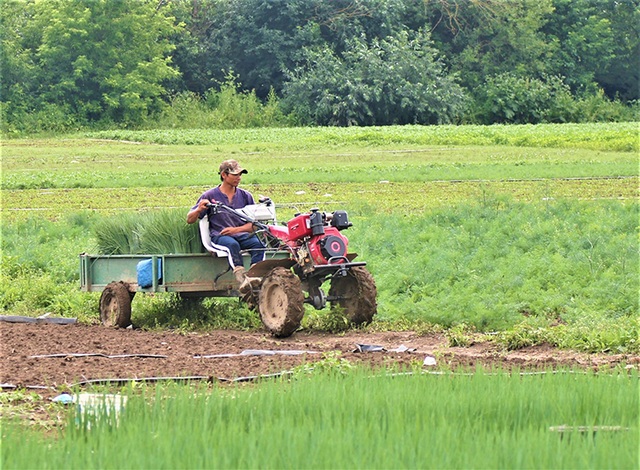 Những người bán mặt cho đất, bán lưng cho trời ở LB Nga - 3 Những người bán mặt cho đất, bán lưng cho trời ở LB Nga - 3
