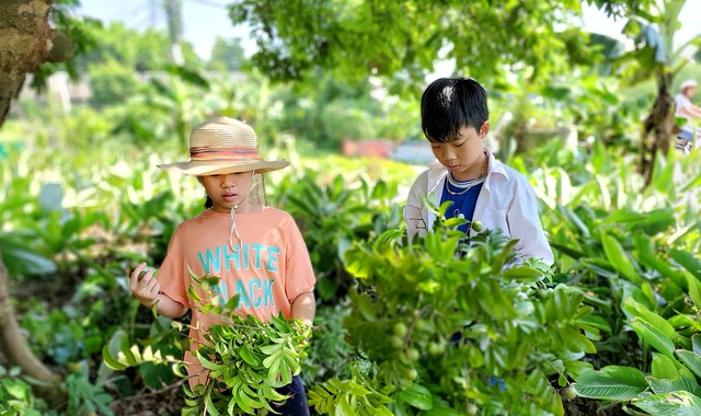 Vui buồn nghề kiếm bạc triệu từ thứ quả “xanh chua, chín ngọt” - 3 Vui buồn nghề kiếm bạc triệu từ thứ quả “xanh chua, chín ngọt” - 3