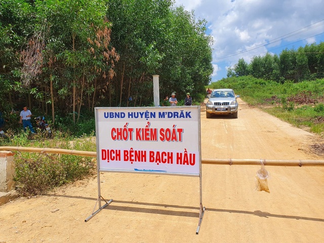 Đắk Lắk: Ghi nhận thêm nhiều ca dương tính bạch hầu mới - 1 Đắk Lắk: Ghi nhận thêm nhiều ca dương tính bạch hầu mới - 1
