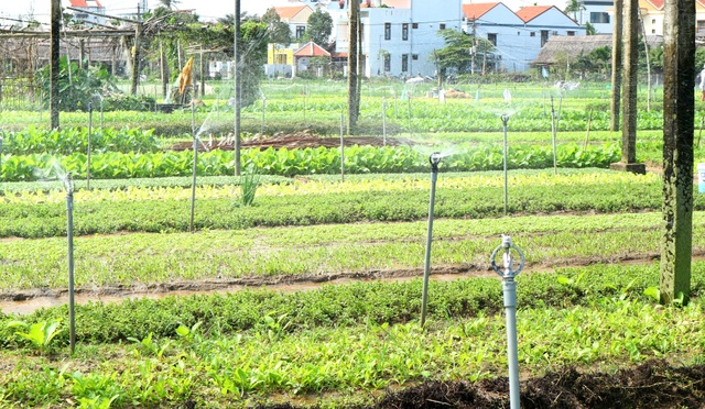 Công nghệ thông minh là giải pháp cho ngành du lịch hậu Covid-19 - 3 Công nghệ thông minh là giải pháp cho ngành du lịch hậu Covid-19 - 3