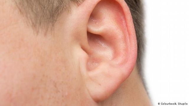 Con người có thể điều khiển tai hướng về phía phát ra tiếng động không? - 3 Con người có thể điều khiển tai hướng về phía phát ra tiếng động không? - 3