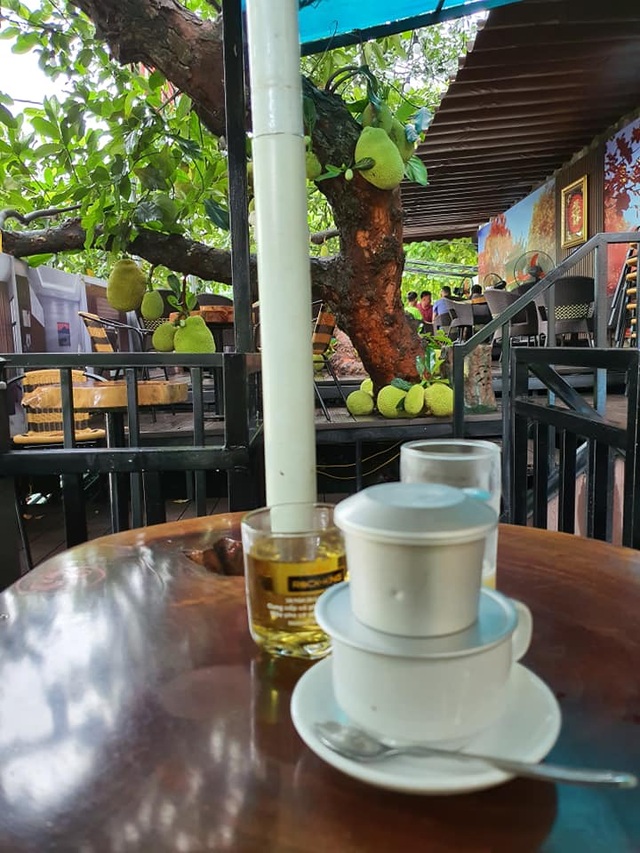 Dân mạng thích thú với quán cà phê cây mít, quả sai trĩu từ gốc đến ngọn - 8
