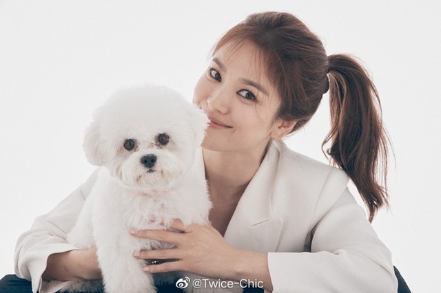 Cột tóc cao, cười rạng ngời, Song Hye Kyo thách thức mọi ống kính - 3 Cột tóc cao, cười rạng ngời, Song Hye Kyo thách thức mọi ống kính - 3