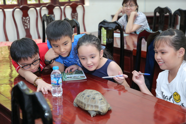 Hè trải nghiệm, hè ý nghĩa của học viên VUS - 3 Hè trải nghiệm, hè ý nghĩa của học viên VUS - 3
