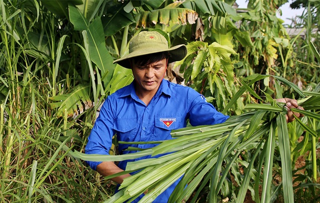 Kết con “dễ thương”, dưỡng con “lầm lừ”, thu hàng trăm triệu đồng/năm - 3 Kết con “dễ thương”, dưỡng con “lầm lừ”, thu hàng trăm triệu đồng/năm - 3