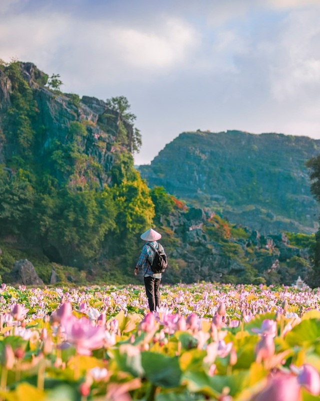 Đầm sen kỳ lạ nở tới tận mùa Đông dưới chân núi Ngọa Long - 3