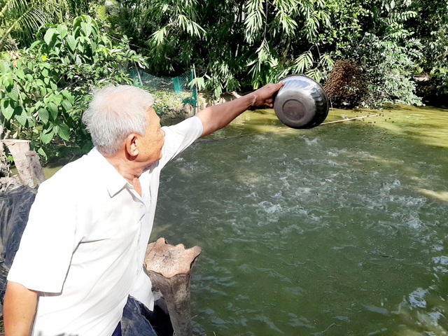 Thương binh vượt khó với vườn - ao - chuồng vươn lên làm giàu ở quê hương - 1 Thương binh vượt khó với vườn - ao - chuồng vươn lên làm giàu ở quê hương - 1