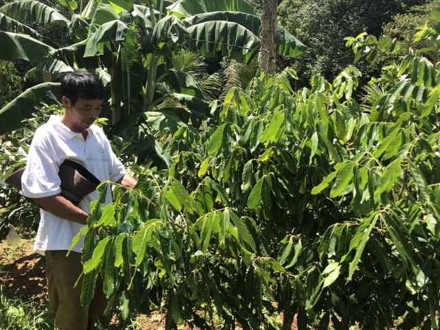 Cựu chiến binh biến đất cằn thành mô hình VAC, kiếm tiền tỷ mỗi năm - 4 Cựu chiến binh biến đất cằn thành mô hình VAC, kiếm tiền tỷ mỗi năm - 4