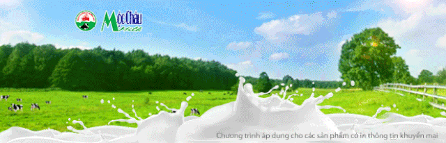 Quà tặng từ thảo nguyên Mộc Châu tới mọi nhà - 4 Quà tặng từ thảo nguyên Mộc Châu tới mọi nhà - 4