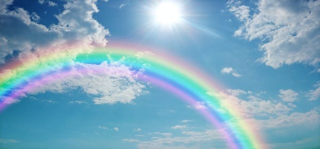 Mặt Trời giúp cơ thể tạo ra vitamin D bằng cách nào? - 1 Mặt Trời giúp cơ thể tạo ra vitamin D bằng cách nào? - 1