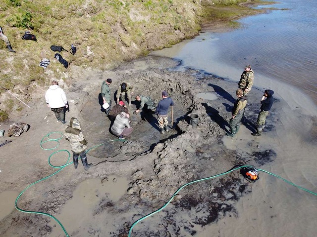 Băng tan tại Bắc Cực để lộ hài cốt voi ma mút 10.000 tuổi - 2