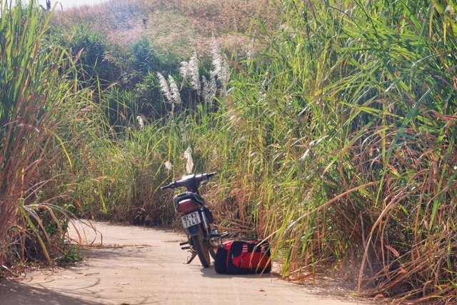 Khám phá Kon Tum: Vùng đất Tây Nguyên đặc sắc! - 6 Khám phá Kon Tum: Vùng đất Tây Nguyên đặc sắc! - 6