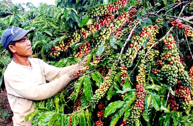 EVFTA có hiệu lực: Cẩn thận với hàng hóa “trà trộn” từ các nước láng giềng - 3 EVFTA có hiệu lực: Cẩn thận với hàng hóa “trà trộn” từ các nước láng giềng - 3