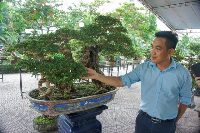 Mãn nhãn với cây găng tu hú, gỗ lũa tự thân hàng trăm năm tuổi - 4