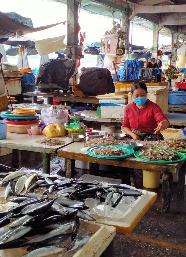 Hội An: Giữa bão Covid-19, giá rau củ tăng chóng mặt, thịt vẫn bình ổn - 6 Hội An: Giữa bão Covid-19, giá rau củ tăng chóng mặt, thịt vẫn bình ổn - 6