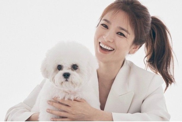 Song Hye Kyo và Hyun Bin lên tiếng trước tin đồn tái hợp - 6 Song Hye Kyo và Hyun Bin lên tiếng trước tin đồn tái hợp - 6