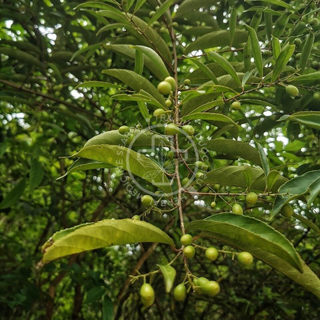 Hiểu đúng - Một thế giới khoa học sẽ hiểu đúng những điều mà chúng ta không thể hiểu được. Chào mừng bạn đến với hình ảnh lý thú về những kiến thức, điều mà khi hiểu đúng sẽ giúp chúng ta thông minh và hiểu biết hơn.