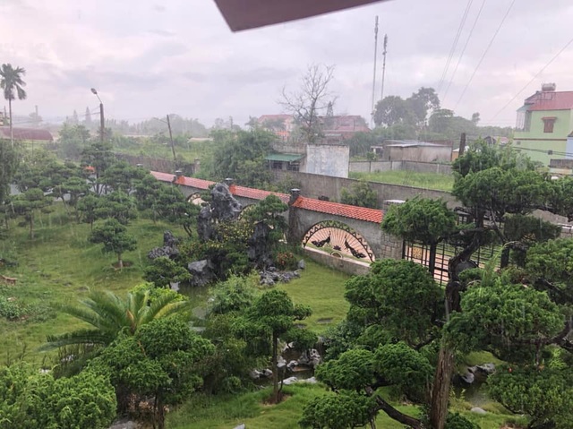 Vườn tùng bạc tỷ rộng 1500m2 trong khuôn viên biệt thự ở Buôn Mê Thuột - 9 Vườn tùng bạc tỷ rộng 1500m2 trong khuôn viên biệt thự ở Buôn Mê Thuột - 9