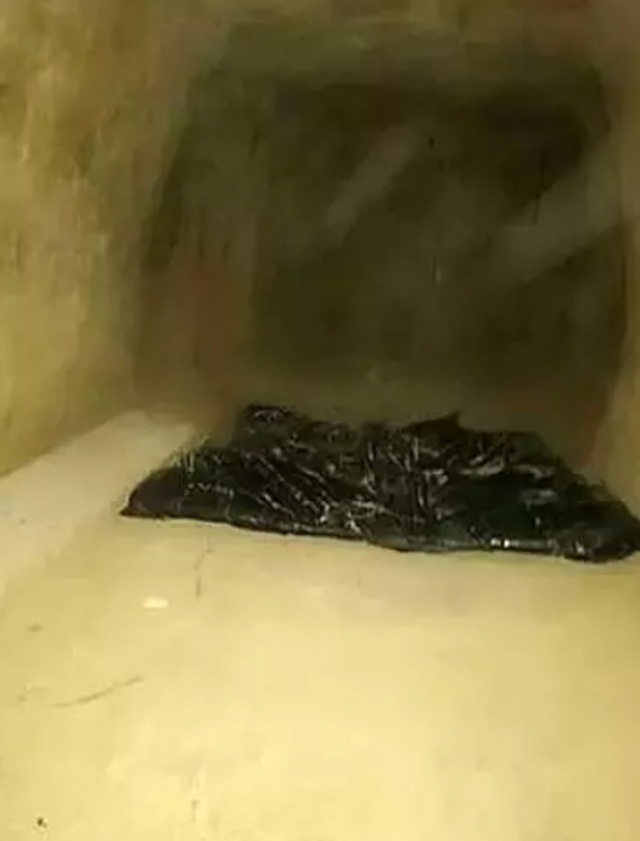 Đào hầm cho con trai giết người trốn ngục, bà mẹ đối mặt cảnh tù tội - 4 Đào hầm cho con trai giết người trốn ngục, bà mẹ đối mặt cảnh tù tội - 4