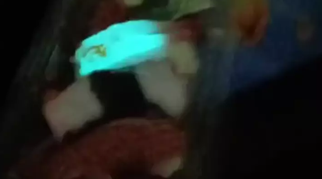 Đang quay video đồ ăn bỗng phát hiện miếng sushi phát sáng - 1 Đang quay video đồ ăn bỗng phát hiện miếng sushi phát sáng - 1