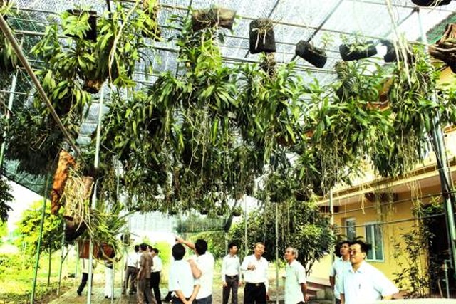 Bộ Nông nghiệp: Truyền thông tung hê lan tiền tỷ rất nguy hiểm - 1 Bộ Nông nghiệp: Truyền thông tung hê lan tiền tỷ rất nguy hiểm - 1