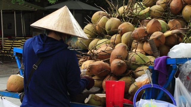 Công nhân bỏ việc đi bán dừa dạo kiếm cả triệu đồng/ngày - 8 Công nhân bỏ việc đi bán dừa dạo kiếm cả triệu đồng/ngày - 8
