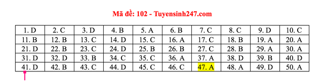 Gợi ý giải đề thi môn Toán tốt nghiệp THPT 2020 - 6