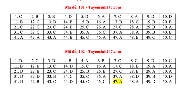 Gợi ý giải đề thi môn Toán tốt nghiệp THPT 2020 - 2