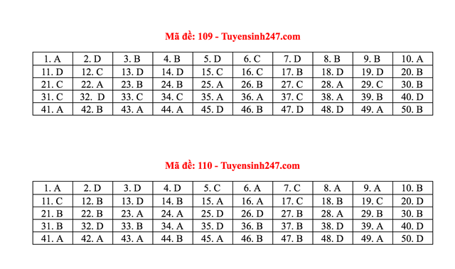 Gợi ý giải đề thi môn Toán tốt nghiệp THPT 2020 - 3