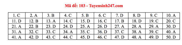 Gợi ý giải đề thi môn Toán tốt nghiệp THPT 2020 - 18