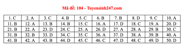 Gợi ý giải đề thi môn Toán tốt nghiệp THPT 2020 - 10