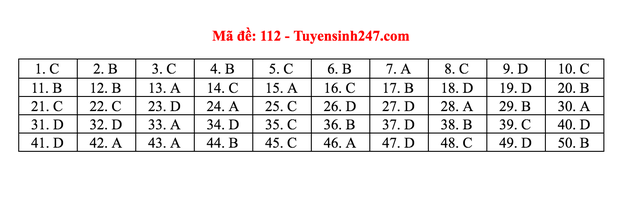 Gợi ý giải đề thi môn Toán tốt nghiệp THPT 2020 - 15