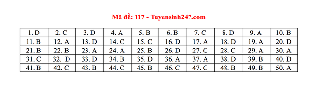 Gợi ý giải đề thi môn Toán tốt nghiệp THPT 2020 - 12