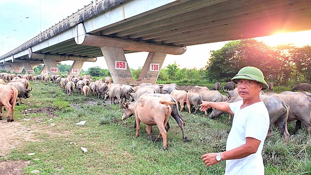 Covid-19 tác động tới đàm phán lương tối thiểu 2021 - 3 Covid-19 tác động tới đàm phán lương tối thiểu 2021 - 3